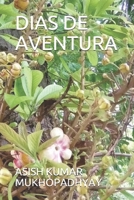 Dias de Aventura B08L5WCQ8C Book Cover