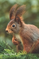 Notizbuch: Tagebuch, Notizbuch mit E-Mail, Telefon und Geburtstagsliste f�r Schule, Hobby und Freizeit. 1671210077 Book Cover