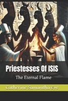 The Chosen Ones: Twin Flames Of ISIS B0FCD9SXKW Book Cover