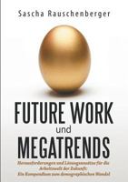 Future Work und Megatrends: Herausforderungen und Lösungsansätze für die Arbeitswelt der Zukunft: Ein Kompendium zum demographischen Wandel 3752875798 Book Cover
