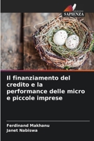 Il finanziamento del credito e la performance delle micro e piccole imprese (Italian Edition) 6209068499 Book Cover
