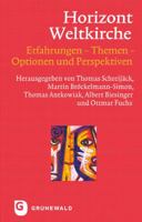 Horizont Weltkirche: Erfahrungen - Themen - Optionen Und Perspektiven 3786729255 Book Cover