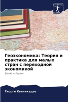 Геоэкономика: Теория и пр 6207794508 Book Cover