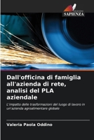 Dall'officina di famiglia all'azienda di rete, analisi del PLA aziendale (Italian Edition) 6207047877 Book Cover