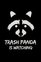 Trash Panda Is Watching: Trash Panda Is Watching Funny Raccoon Camping Journal/Notebook Blank Lined Ruled 6X9 100 Pages 1691112852 Book Cover