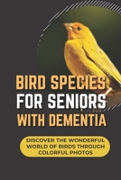 Bird Species For Seniors With Dementia: Discover The Wonderful World Of Birds Through Colorful Photos: Brain Diseases Kindle Store B09BYBFQTT Book Cover