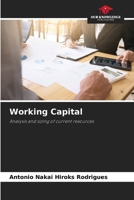 Working Capital 620774912X Book Cover