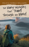 The Many Wonders That Travel Through My Mind 1532086385 Book Cover