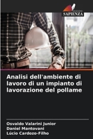 Analisi dell'ambiente di lavoro di un impianto di lavorazione del pollame (Italian Edition) 620744597X Book Cover