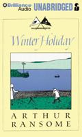 Winter Holiday (Godine Storyteller)