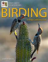 Birding in Baja California Sur 0615919324 Book Cover