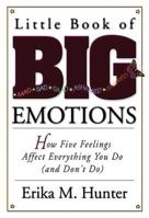 Little Book of Big Emotions: How Five Feelings Affect Everything You Do (and Don't Do) 1592850790 Book Cover