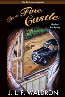 In a Fine Castle 1678116270 Book Cover