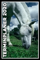 Terminplaner 2020: Jahresplaner von September 2019 bis Dezember 2020 mit Pferd - Planer mit 174 Seiten in wei� im Format A5 mit gl�nzendem Soft Cover. 1704009650 Book Cover
