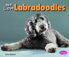 You'll Love Labradoodles 1491405708 Book Cover