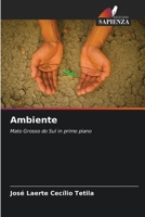 Ambiente (Italian Edition) 6208407710 Book Cover