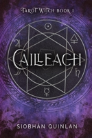 Cailleach: The Tarot Witch Book 1 B0BFV42WDJ Book Cover