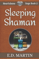 Sleeping Shaman: A Fairy Tale Retold B091F75KF3 Book Cover