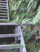 King of sun records 9: Memoirs 1796990590 Book Cover