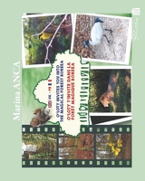 O'Loty invites you into the magical forest Boreea: O'Loty t'invite dans la forêt magique Boreea (O'Loty the squirrel) 2492086011 Book Cover