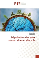 Dépollution des eaux souterraines et des sols 6203447366 Book Cover