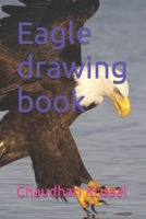 Eagle drawing book B09T8Q88QG Book Cover