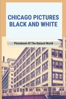 Chicago Pictures Black And White: Photobook Of The Natural World: Oldest Photo Of Chicago B095GFYBTL Book Cover