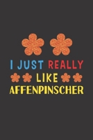 I Just Really Like Affenpinscher: Dog Training Logbook For Peoples Who Loves Their Affenpinscher Dog 1656025477 Book Cover