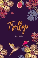 2020 Diary; Trollop: UK Week to View Schedule Planner, Calendar, and Appointment Diary (Appointment Books, Monthly Calendar Planners, and Personal Organisers) 169305227X Book Cover