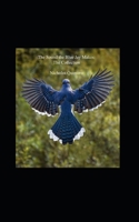 The Sound the Bue Jay Makes 1717952372 Book Cover