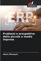 Problemi e prospettive delle piccole e medie imprese (Italian Edition) 6208523656 Book Cover