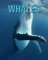 Whales: Learn About Whales and Enjoy Colorful Pictures B08CWCFPHG Book Cover