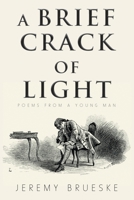 A Brief Crack of Light: Poems from a Young Man 153204903X Book Cover