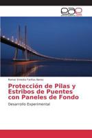 Protección de Pilas y Estribos de Puentes con Paneles de Fondo 3848469359 Book Cover