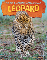 Leopard 109829632X Book Cover