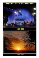 Everyday Digital Photography: Picture Perfect 1511646713 Book Cover