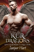 Kur Dragons: Shifter Romance Collection B0975YSLND Book Cover