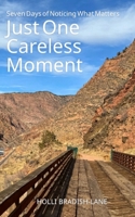 Just One Careless Moment: Seven Days of Noticing What Matters B0GNMNYW12 Book Cover
