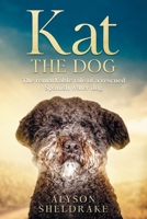 Kat the Dog: The Remarkable Tale of a Rescued Spanish Water Dog 9893331145 Book Cover