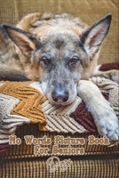No Words Just Pictures For Seniors: Great picture book gift for all ages but focused on seniors and the elderly who may be dealing with Alzheimer’s, ... photos of dogs without words or phrases 1687638292 Book Cover