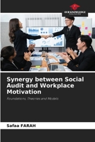 Synergy between Social Audit and Workplace Motivation 6207942728 Book Cover