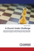 A Church Under Challenge 3659366455 Book Cover