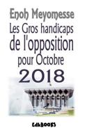 Les gros handicaps de l'opposition en 2018 1717299377 Book Cover
