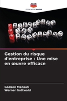 Gestion du risque d'entreprise: Une mise en oeuvre efficace (French Edition) 6208367999 Book Cover