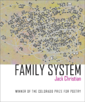 Family System 1885635273 Book Cover