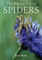 The Private Life of Spiders 0691135525 Book Cover