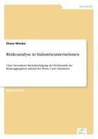 Risikoanalyse in Industrieunternehmen 3838695623 Book Cover