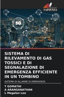 Sistema Di Rilevamento Di Gas Tossici E Di Segnalazione Di Emergenza Efficiente in Un Tombino (Italian Edition) 6207939042 Book Cover