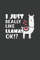 I Just Really Like Llamas OK?: 6x9 Inch Journal Diary Notebook 110 Blank Lined Pages Cute Llama Gift 1661684513 Book Cover