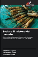 Svelare il mistero del passato 6205608073 Book Cover